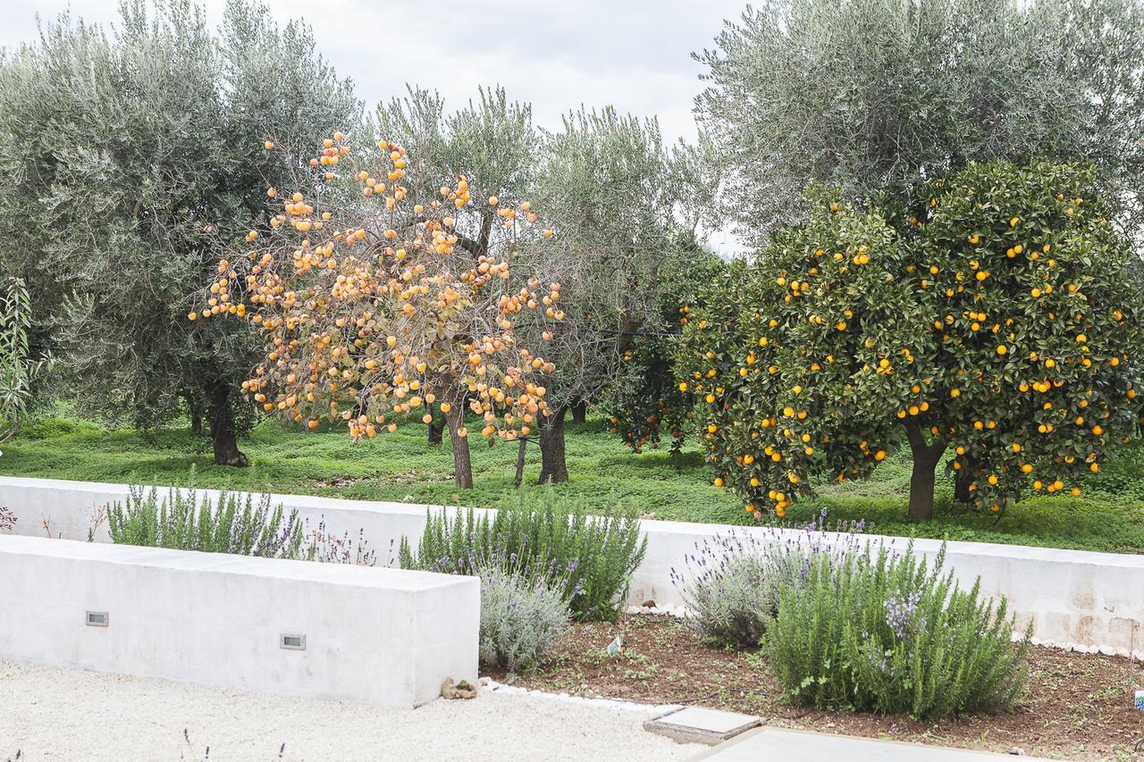 Le Stanze Di Meli Bed & Breakfast Palagianello Exterior photo